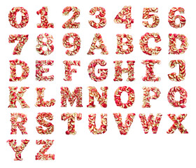 3D numbers and letters text made of apple wedges isolated on a white transparent background