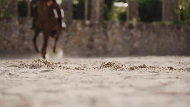 Slow motion close-up of horse legs kicking up dust while trotting in a riding arena. Dynamic and powerful shot ideal for commercial, sport, or equestrian content.