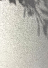 Shadows of leaves on the cement wall