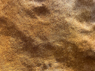 Brown leather natural vintage