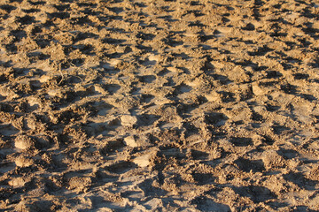 A close-up of parched soil reveals a dense network of irregular cracks and clods, a classic sign of...