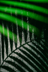 Abstract Green and Shadow Nature Pattern Background