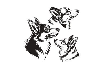 Obraz premium Silhouette of Dog Sitting