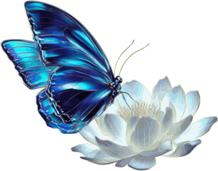 Blue butterfly perched on flower vector illustration