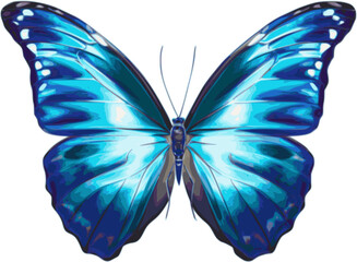 Blue butterfly vector illustration