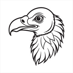 Wings of Decay: The Watchful World of the Vulture