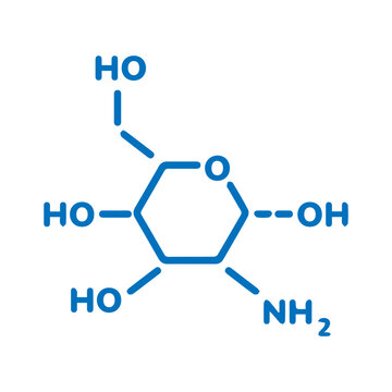 chitosan monomer 