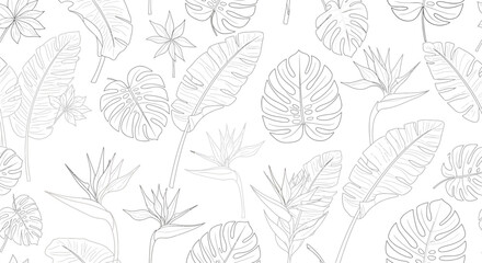 Tropical Foliage Pattern Monstera Banana Leaves and Bird of Paradise Outlines.