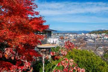 Obraz premium home on hilltop by red maple leaf and Kyoto city view in autumn