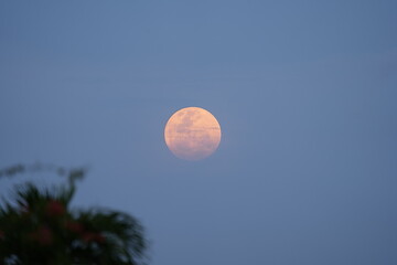 Reddish Full Moon: A Veiled and Ethereal Celestial Wonder