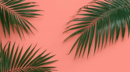Naklejka premium Dragon Tail Monstera or Epipremnum Pinnatum tropical leaves on coral color background minimal summer 