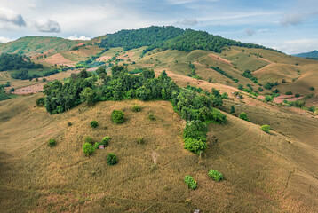 The biggest cause of forest loss is agricultural deforestation ,environmental damage in Southeast...