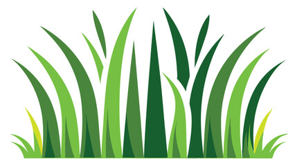 Green blades of grass on white background 