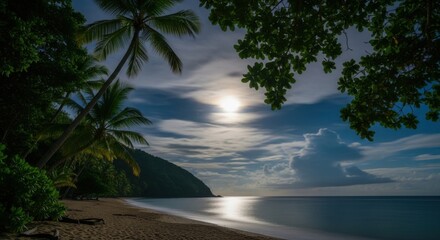 Serene Tropical Beach Under a Luminous Moonlit Sky With Palm Trees and Calm Ocean Waves