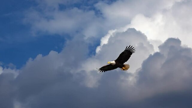 Majestic eagle soaring through a cloudy sky