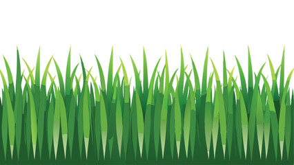 Obraz premium Lush Green Grass Border on White Background 