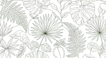 Fototapeta premium Detailed botanical line art featuring ferns monstera and palm leaves.