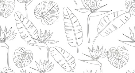 Tropical Outlines Bird of Paradise Flowers Banana Leaves and Monstera Pattern.