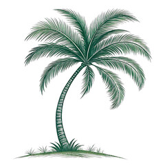 Isolated palm tree vector illustration, a tropical plant that conveys relaxation, vacation and summer vibes in an artistic design