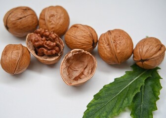 Fresh peeled walnuts or Juglans or Kacang Kenari isolated on white background.