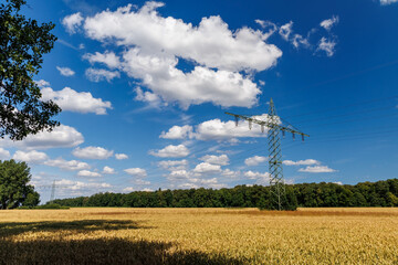 Golden wheat field during harvest season under a vivid blue sky with white clouds and a power pole, rural farmland landscape mixing nature and infrastructure and sustainable green power
