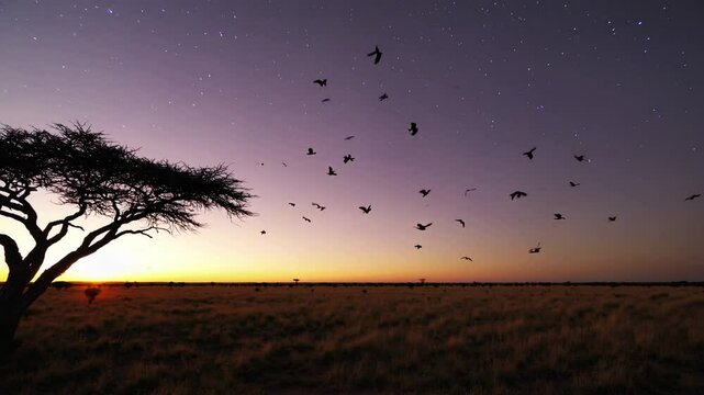 Starlit Dusk Over the Savannah With Flocks of Birds Taking Flight Near a Solitary Tree Generative AI