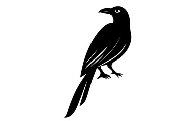 crow BIRDS SILHOUETTE
