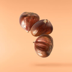 Fresh green rosemary herb falling in the air isolates on yellow background