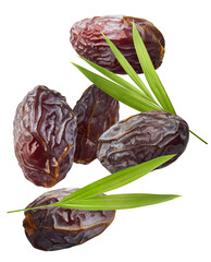Dried sweet Date fruit falling in the air isolared on white background