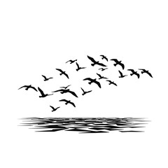 Fototapeta premium Soaring Silhouettes: A flock of seabirds soars gracefully against the backdrop of the boundless sea, their silhouettes creating a captivating dance.