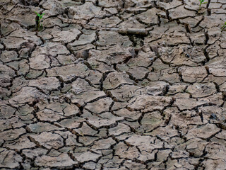 Risse im ausgetrockneten Lehmboden