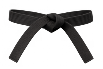 Black karate belt knotted securely, representing martial arts expertise against translucent backdrop