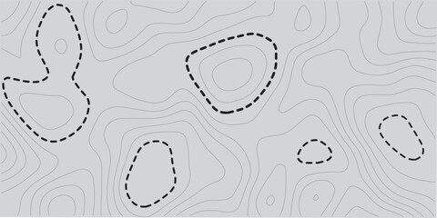 Abstract Topographic Contour Line Pattern in Black and White