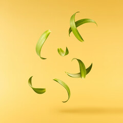Fresh green rosemary herb falling in the air isolates on yellow background