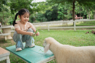 Young girl interacting with a friendly sheep in a serene outdoor setting, enjoying nature and animal companionship while sitting on a table.