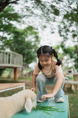 Happy young girl feeding adorable sheep with fresh green grass in a serene outdoor farm setting, enjoying a sunny day surrounded by nature's beauty.