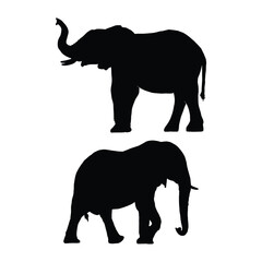 Set of Elephant Silhouette Illustration Isolated on White Background