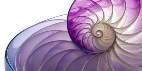 Close up of a nautilus shell showing its intricate spiral chambers and purple gradient isolated on transparent background
