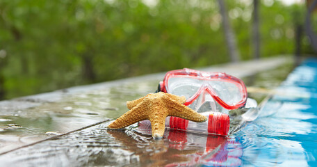 Snorkeling and starfish at the resort pool