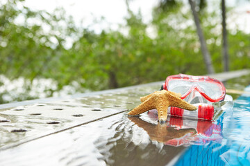 Snorkeling and starfish at the resort pool