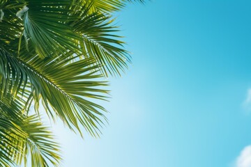 Naklejka premium Vibrant green palm leaves create a tranquil scene against a backdrop of clear blue sky, evoking a sense of tropical paradise