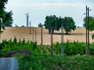 Strommasten im Feld