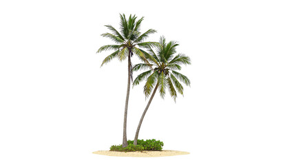 Obraz premium Palm Trees Growing on Sandy Island Isolated on White
