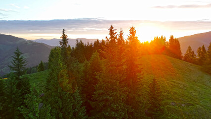 Sunset over pine forest in mountain landscape. Golden sun setting behind pine-covered hills,...