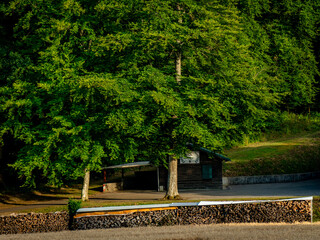 Brennhozlager im Freien © focus finder
