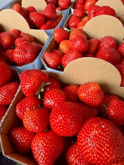 strawberries in a box