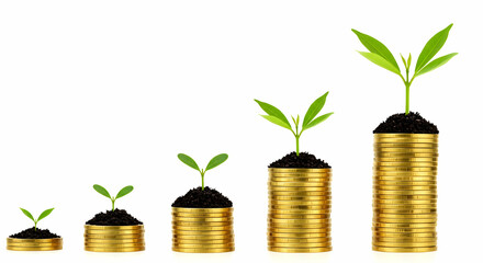 Grow Your Money Smart Investment Financial Growth