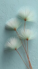 Four delicate dandelion seed heads with thin white filaments and reddish stems against a textured light blue background.