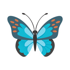Illustrative cartoon style butterfly with blue wings and orange spots vector graphic