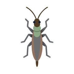 Simple vector illustration of a stick insect with a unique appearance